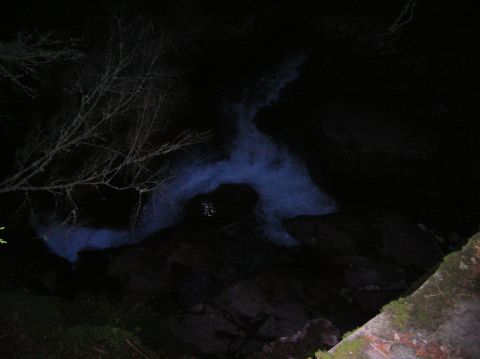 1996 Ford Bronco - A dark scene at night shows a tree branch on the left and a body of water with a faint blue glow in the center.