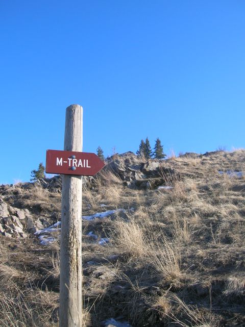 1996 Ford Bronco - A wooden post with a brown directional sign pointing to the right that reads "M-TRAIL". The sign is attached to the post with two silver sc…