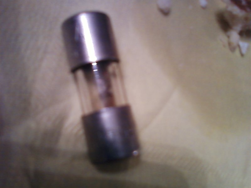 Close-up of a glass automotive fuse with metal end caps