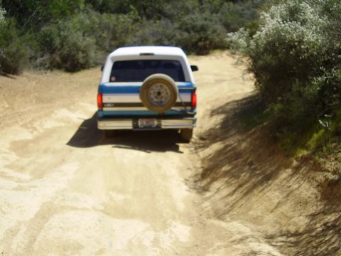1995 Ford Bronco - Cow Mt.