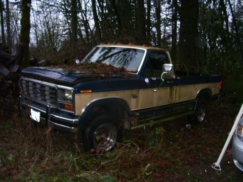 1991 Ford Bronco - A weathered Ford F-Series truck sits abandoned amongst trees, its two-tone paint faded and covered in debris.