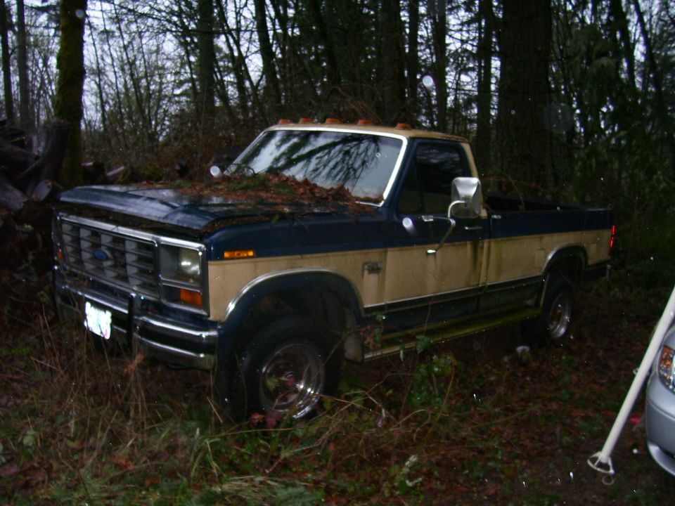 Two-tone blue and tan Ford F-Series truck parked in woods, covered in leaves