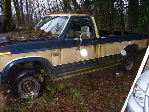 1991 Ford Bronco - This two-tone pickup truck, likely from the 1980s, sits abandoned in a wooded area.