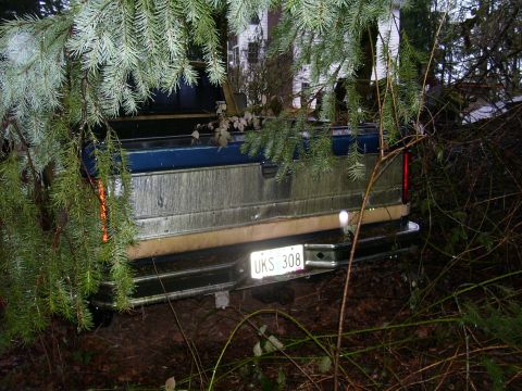 1991 Ford Bronco - The rear of a pickup truck is visible, with pine branches hanging over it and obscuring the view.