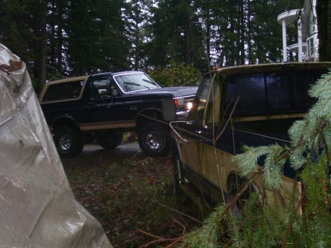 1991 Ford Bronco - A dark blue and tan 1991 Ford Bronco is parked outdoors, with another vehicle partially visible in the foreground.