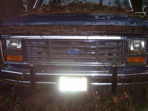 1991 Ford Bronco - Front view of a 1991 Ford Bronco, showing the grille and headlights, with leaves covering the hood.
