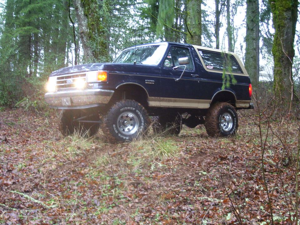 Dark blue Ford Bronco with tan trim driving off-road in a forest