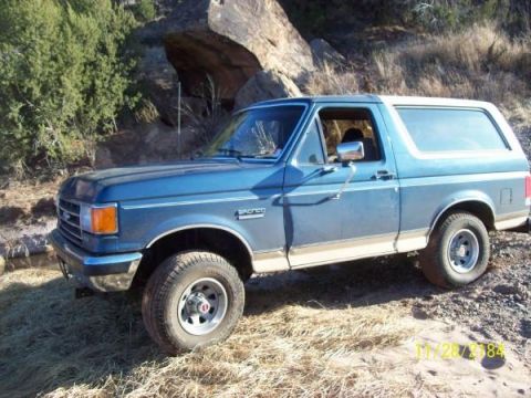 1990 Ford Bronco “Monster”