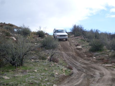 1979 Ford Bronco - A white 1992 Ford Bronco navigates a challenging dirt incline in a , outdoor landscape.
