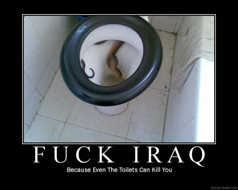 1993 Ford Bronco - A snake is coiled inside a toilet bowl in a tiled bathroom.