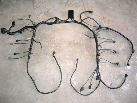 2007 Ford Mustang - This is a complex automotive wiring harness with numerous connectors and a central black box.