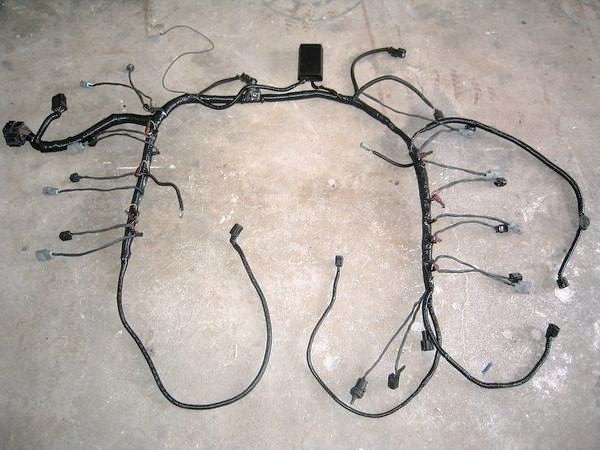 Automotive wiring harness laid out on a concrete floor. It has many black wires and connectors