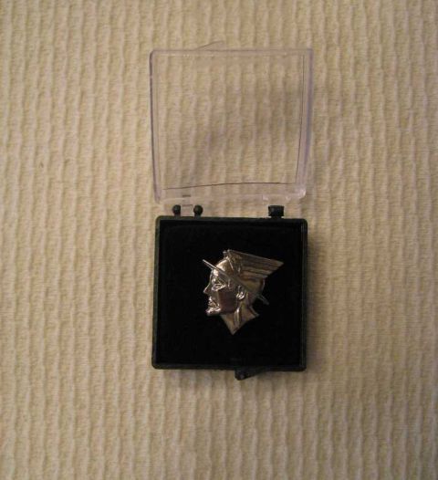 2003 Mercury Marauder - Mercury "godshead pin.