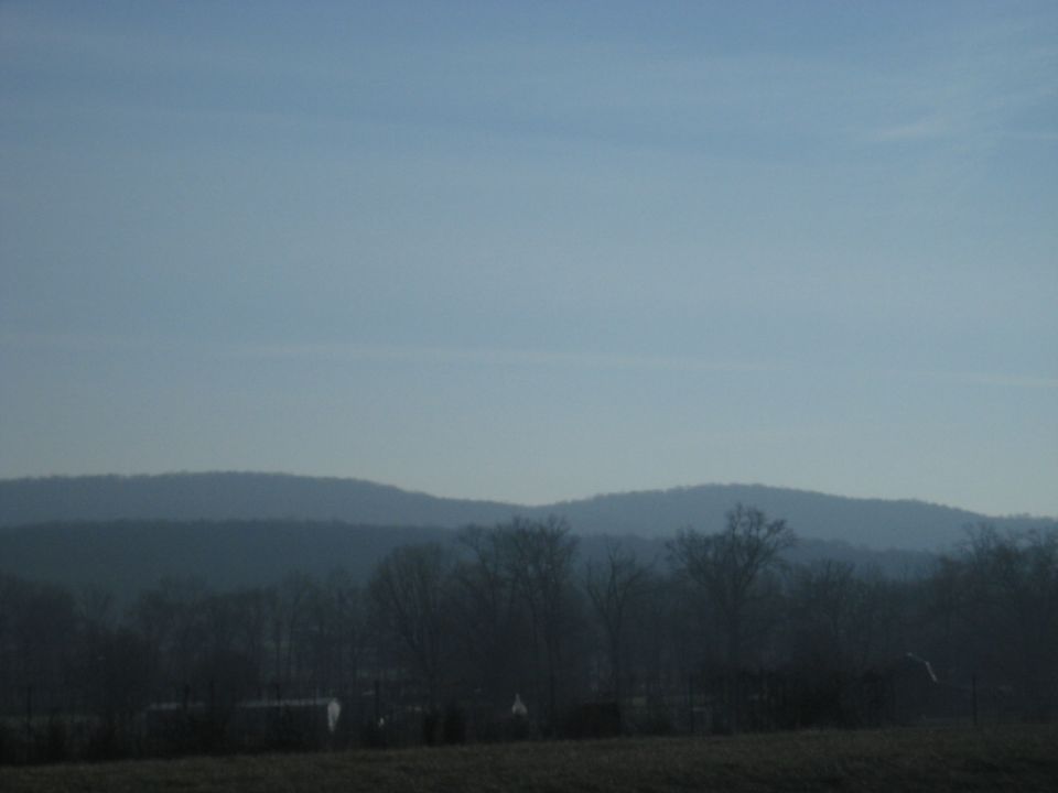 Hazy blue hills and bare trees over a field