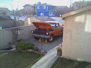 1981 Ford Bronco photo