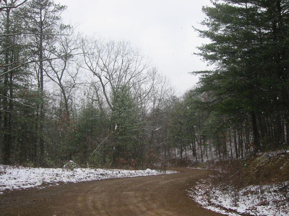 Dirt road in a snowy forest with falling snow.
