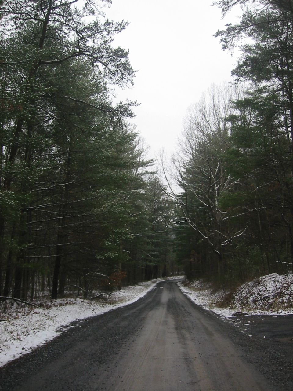 A snowy forest road