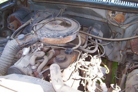 1986 Ford F-150 photo