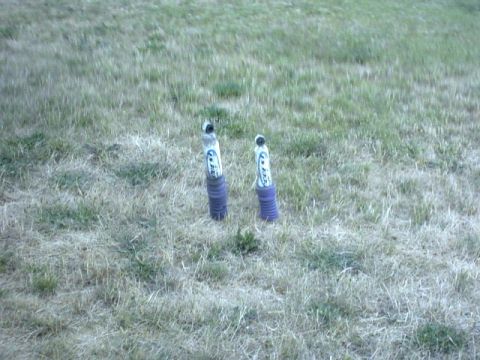 1995 Ford Bronco - Takin some time out to play some Lawn Darts. The only thing ProCopm is good for.