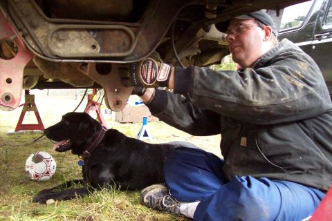 1995 Ford Bronco - Tony and Grizz, Hard at work and wantin to play