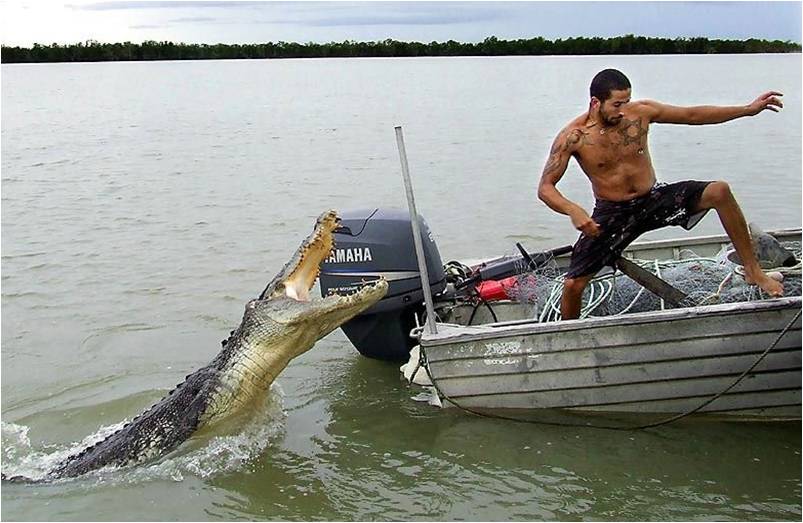 Large crocodile lunging at a shirtless man on a small aluminum boat