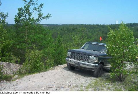 1993 Ford Bronco - A black Ford Bronco is parked on a dirt path surrounded by trees and foliage.