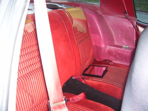 1978 Pontiac Firebird photo