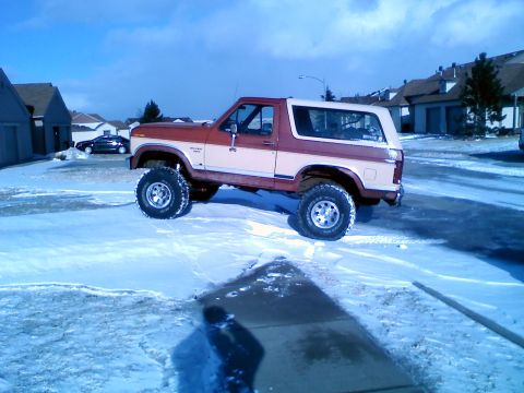 1986 Ford Bronco photo