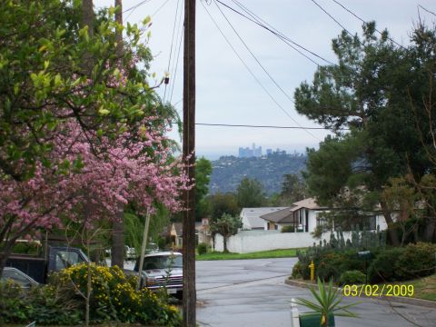 1972 Ford Ranchero - Two trucks are visible in a residential area with a city skyline in the distance.