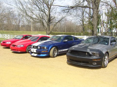 2007 Ford Mustang - A lineup of four Ford Mustangs, different models and colors, parked outdoors on a sunny day.