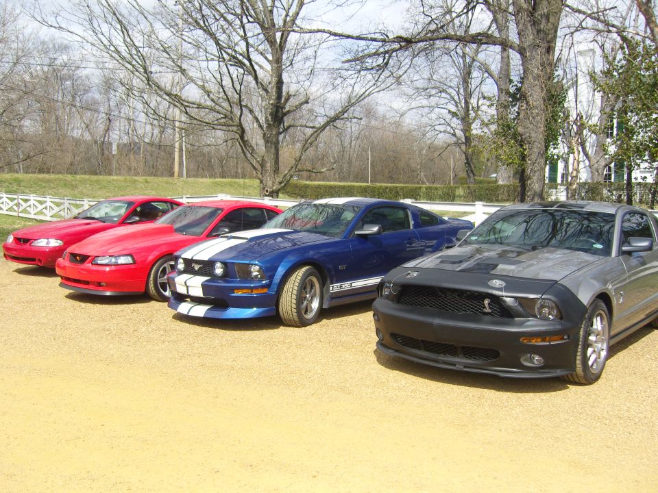 Four Mustangs lined up. Two red ones, a blue one with white stripes, and a silver one with a black car bra