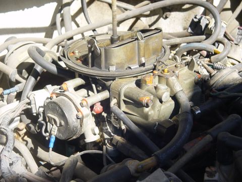 1982 Ford Bronco - This image shows a detailed view of a Holley carburetor, surrounded by engine hoses and electrical connections.