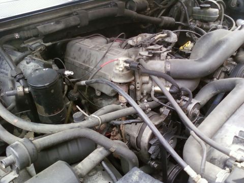 1991 Ford Bronco “Big Bitch”