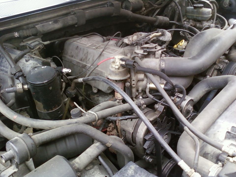 Dirty engine bay with intake manifold, spark plug wires, hoses and belt visible