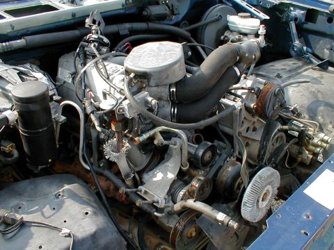 1996 Ford Bronco “Stripped '96”