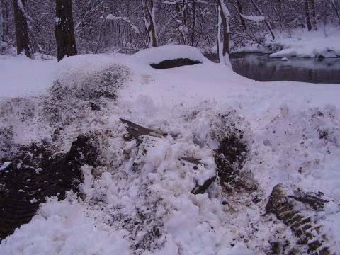 2003 Jeep Wrangler