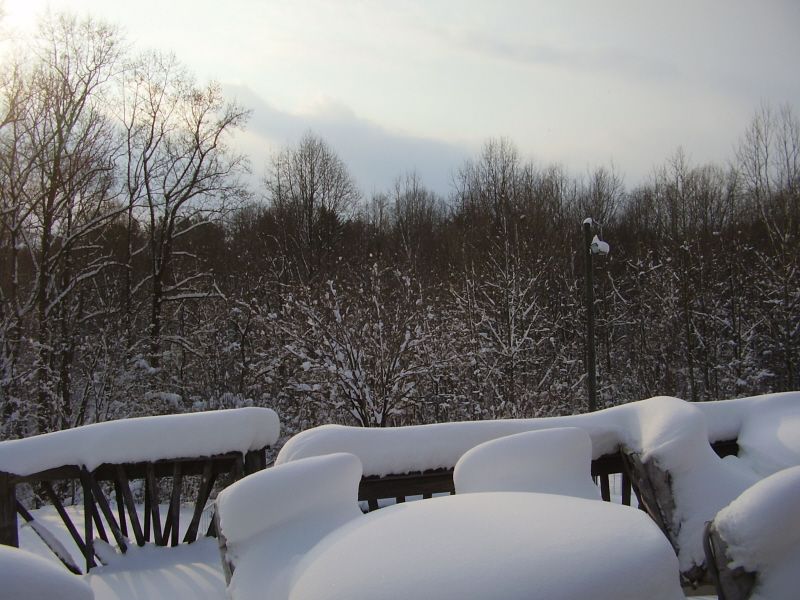 Outdoor furniture and railing covered in snow with a forest background.