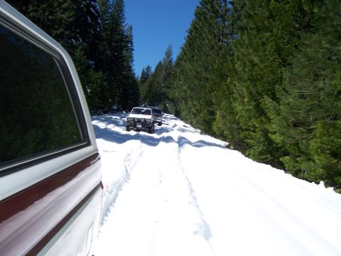 1991 Ford Bronco