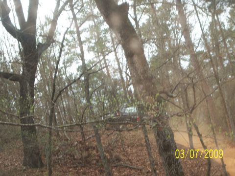 1996 Ford Bronco - A dark SUV is visible off a dirt road, surrounded by trees and foliage.