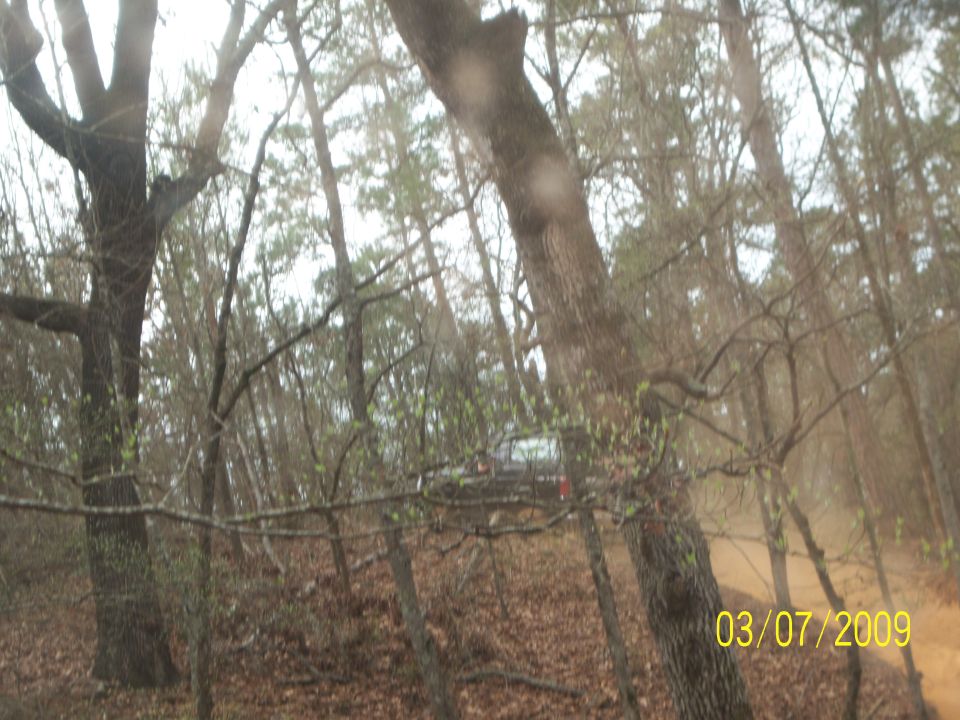 Dark SUV parked on a dirt road in a wooded area