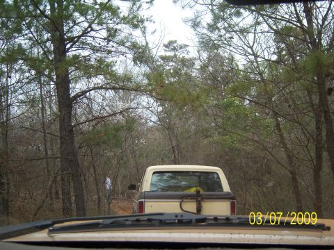 1996 Ford Bronco - Rear view of a tan and brown pickup truck with a spare tire mount on the tailgate.