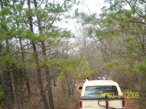 1996 Ford Bronco - A Ford pickup truck is seen from the rear, parked on a dirt path surrounded by trees.