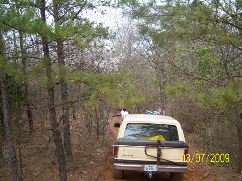 1996 Ford Bronco - A tan Ford Bronco is seen from the rear driving on a dirt road through a wooded area.