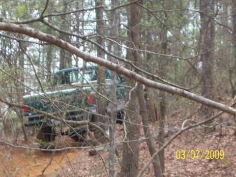 1996 Ford Bronco - SUV navigating a wooded trail on a dirt road.