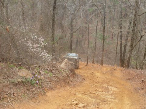 1996 Ford Bronco - A white SUV navigates a rough dirt trail surrounded by bare trees and undergrowth.