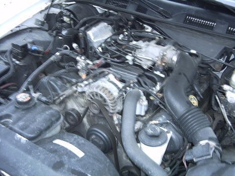 1998 Ford Crown Victoria - The engine bay of a 1998 Ford Crown Victoria, its V8 engine and associated components.