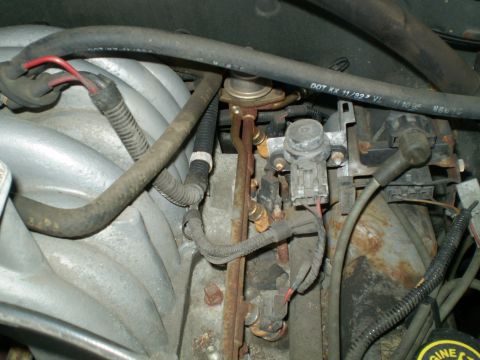1996 Ford Bronco - Close-up view of engine components, including fuel lines and electrical connectors.