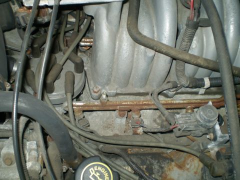 1996 Ford Bronco - Close-up view of an engine bay, focusing on the distributor cap and associated wiring.