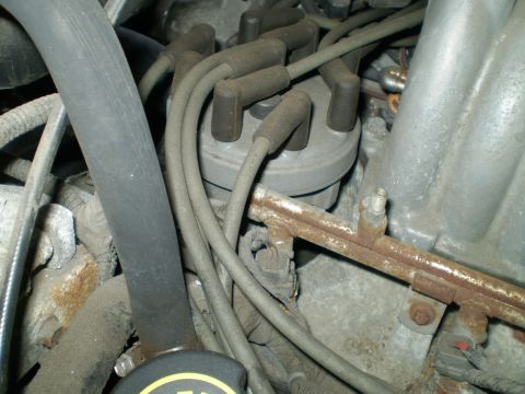 1996 Ford Bronco - Engine distributor cap and spark plug wires are visible in this close-up view.