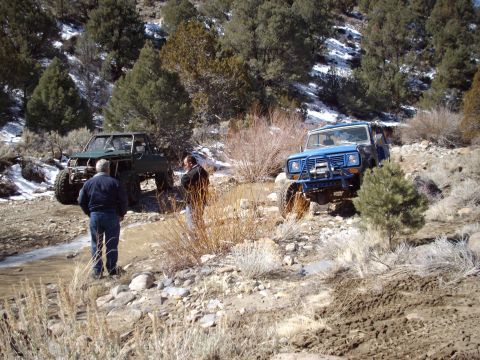 1982 Toyota 4Runner “Rabid Squirrel”